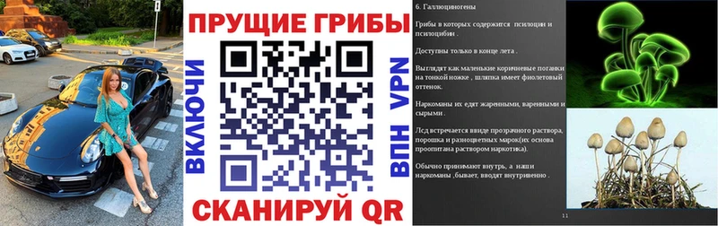 Купить  Кудрово  Галлюциногенные грибы MAGIC MUSHROOMS 